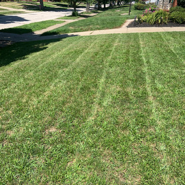 CW Lawn care