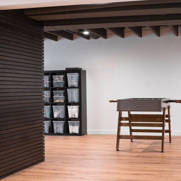 Bright Basement- Towson