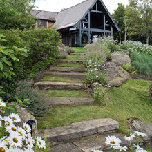 South facing garden