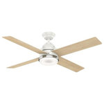 Casablanca Fans - Casablanca Fans 59413 54" Ceiling Fan with Light Kit and Integrated Wall Control - The Daphne stylish ceiling fan features elegant housing finishes that are elevated with metallic detailing and real wood veneer blades with luxurious, handpainted finishes. The timeless yet unique finishes on this transitional ceiling fan are easy to pair with existing home finishes while adding a unique touch to your indoor living space decor. The Daphne ceiling fan features a preinstalled remote receiver for easy installation, an integrated LED light, and a Casablanca exclusive wall control.  Dimable: Yes54" Ceiling Fan  and Integrated Wall Control Fresh White *UL Approved: YES *Energy Star Qualified: n/a  *ADA Certified: n/a  *Number of Lights: Lamp: 1-*Wattage:16w LED bulb(s) *Bulb Included:Yes *Bulb Type:LED *Finish Type:Fresh White