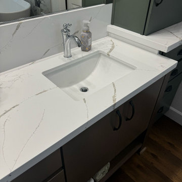 Moody and Bold Master Bath Remodel