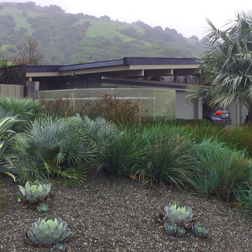 Eichler Refresh San Raphael CA