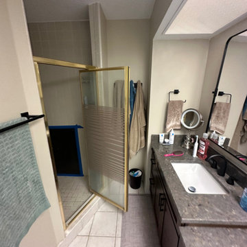 Tub to Shower Conversion in a Belle Isle Primary Bathroom