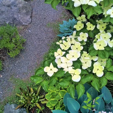 Garden with plants and mosaik, Garten mit Pflanzung und Mosaik