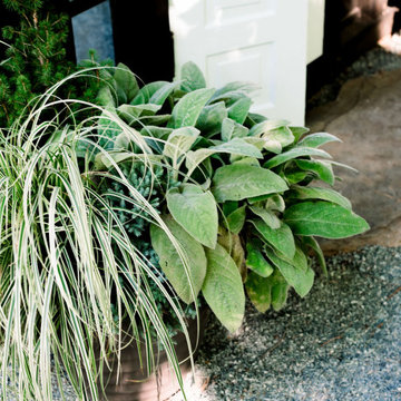 Container Gardens- Summer