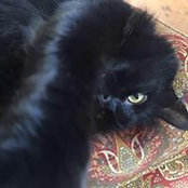 Barbara N Steffke's photo