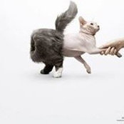 Angela Blackshaw's photo