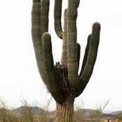 Fred Krass's photo