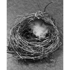 Nesting Design
