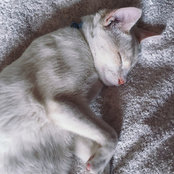 martapovedar's photo