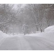 Joan Giunta's photo