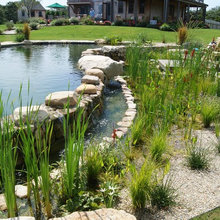 natural pools