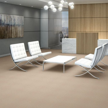 Shaw Philadelphia Live 54735 Commercial Carpet Tile