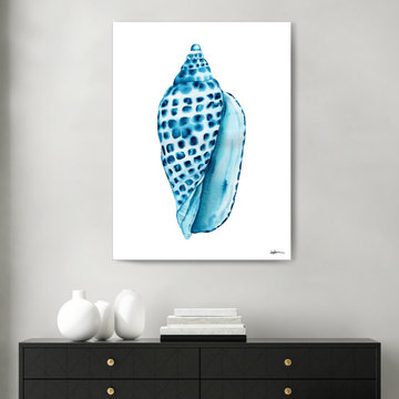 'Freckled Shell' Wrapped Canvas Wall Art