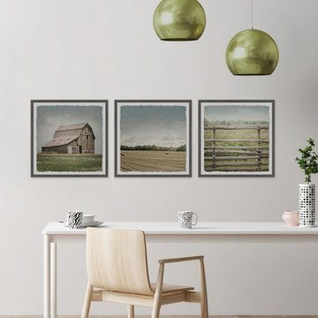 Barn Field Triptych