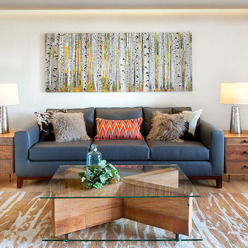 Durango Contemporary Living Area