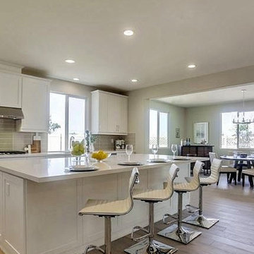 Model home staging - Vista CA 2019