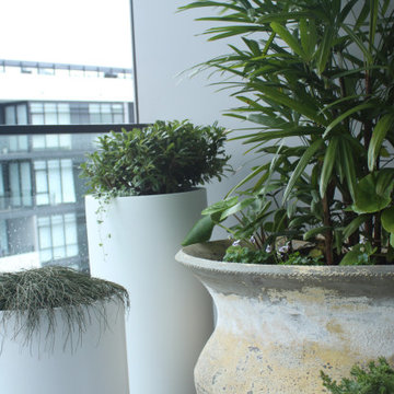 GARDEN DESIGN - Decorating with Pot Plants