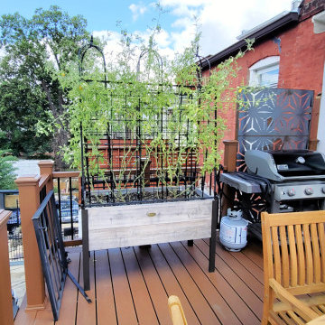 Deck Remodeling #7