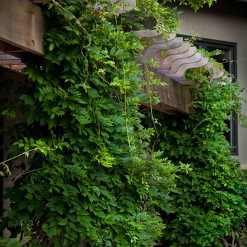 Informal European Garden