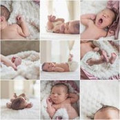 Leah Cavitt's photo
