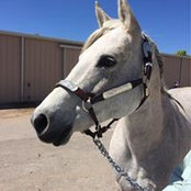 Amy Bayes's photo