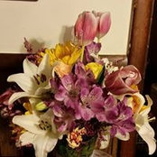 Diana Spriggs's photo