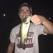 Jonathan Crawford's photo