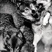 Derek Kimball's photo