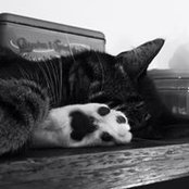 Meike Hubert's photo