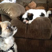 Kathie Smith's photo