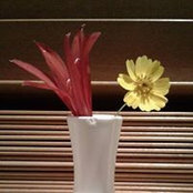 Molly Roblesさんの写真