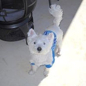 Melissa Preiss's photo
