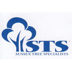 Sussex Tree Specialists
