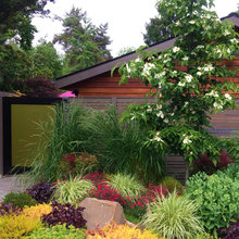 Landscape Ideas