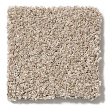 Carpet Sample - Palette Style No. E9359 Color No. 00103 River Rock
