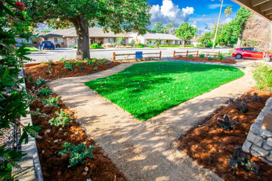 This is an example of a transitional landscaping in Los Angeles.