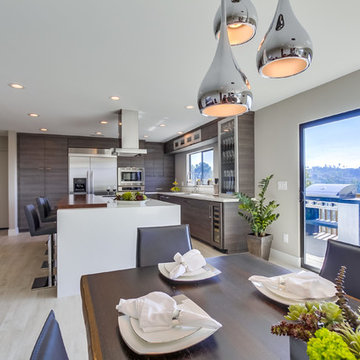 La Mesa_Modern Kitchen_Whole Home Remodel