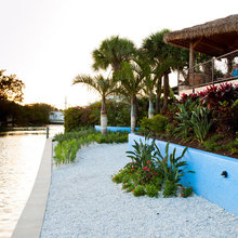 modern tropical landscaping