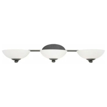 Dolan Designs 3903-78 Rainier - Three Light Bath Bar