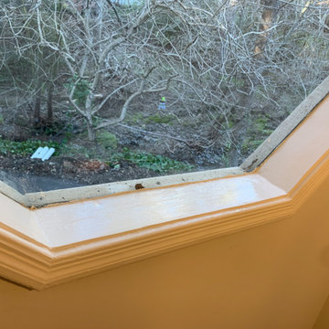 Dry rot repair
