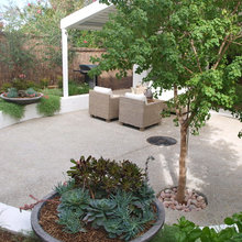 Hanging Bird Path
