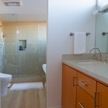 Venice Beach Renovation
