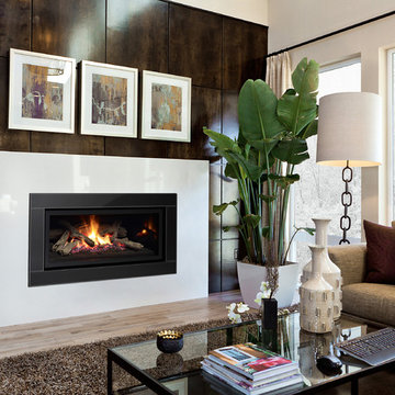 Modern Fireplace