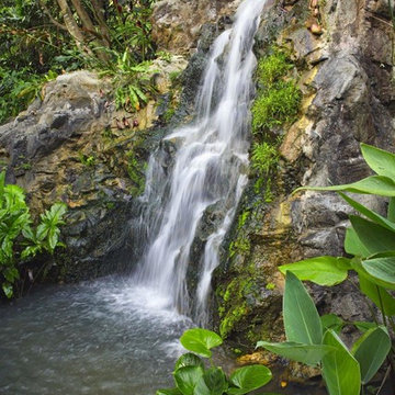 Custom Pond & Water Feature Installations