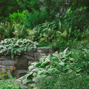 Audubon Certified Backyard Habitat
