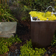 Water fountain