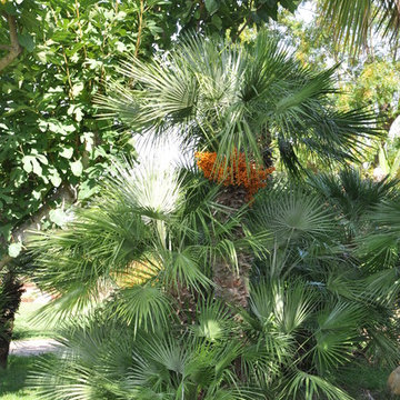 LE STANZE COME GIARDINO