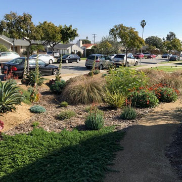 Bermed front yard