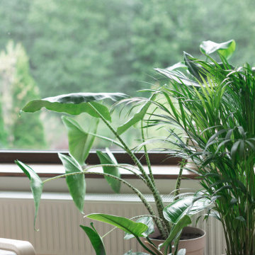 Bright Contemporary Garden with Natural Elements in Guildford